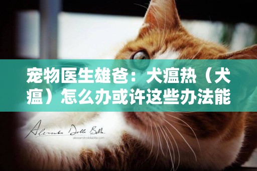 寵物醫生雄爸：犬瘟熱（犬瘟）怎么辦或許這些辦法能幫到你？ 