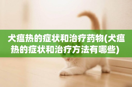 犬瘟熱的癥狀和治療藥物(犬瘟熱的癥狀和治療方法有哪些) 