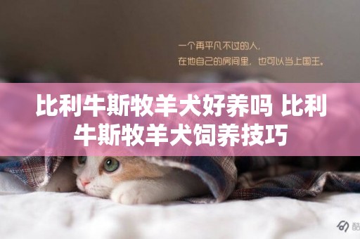 比利牛斯牧羊犬好養嗎 比利牛斯牧羊犬飼養技巧