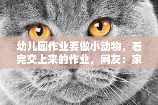 幼兒園作業要做小動物，看完交上來的作業，網友：家長真是潛力股 