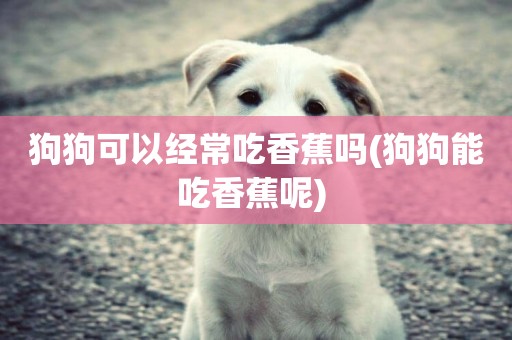 狗狗可以經常吃香蕉嗎(狗狗能吃香蕉呢) 