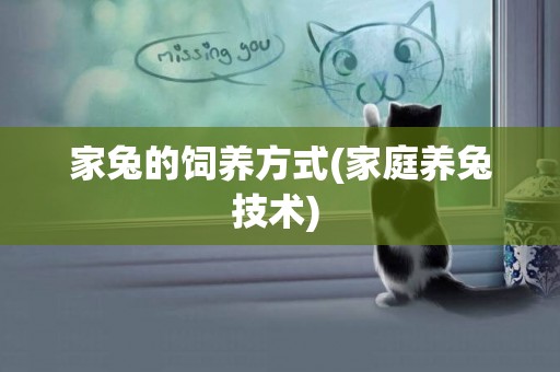 家兔的飼養方式(家庭養兔技術) 