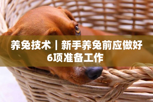 養兔技術｜新手養兔前應做好6項準備工作 