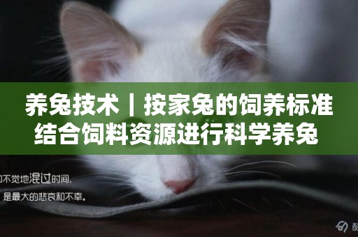 養兔技術｜按家兔的飼養標準結合飼料資源進行科學養兔 