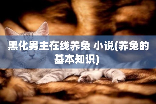 黑化男主在線養兔 小說(養兔的基本知識) 