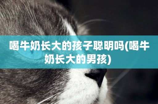 喝牛奶長大的孩子聰明嗎(喝牛奶長大的男孩) 