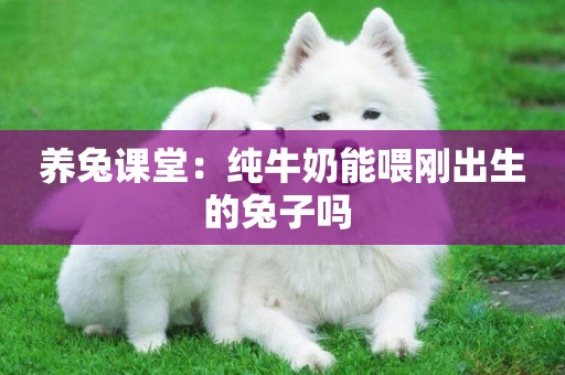 養兔課堂：純牛奶能喂剛出生的兔子嗎 