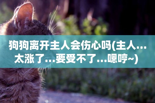 狗狗離開主人會傷心嗎(主人…太漲了…要受不了…嗯哼~) 