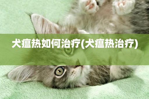 犬瘟熱如何治療(犬瘟熱治療) 