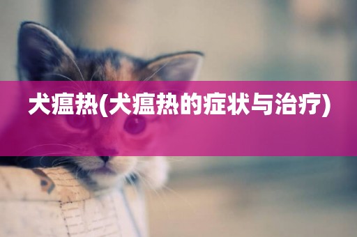 犬瘟熱(犬瘟熱的癥狀與治療) 