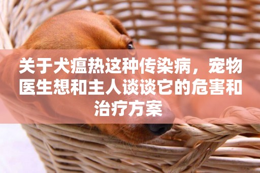 關于犬瘟熱這種傳染病，寵物醫生想和主人談談它的危害和治療方案 