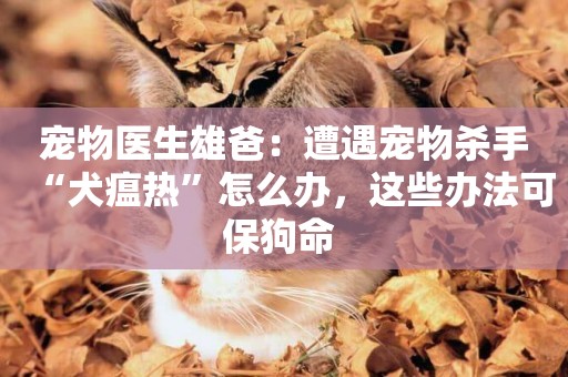 寵物醫生雄爸：遭遇寵物殺手“犬瘟熱”怎么辦，這些辦法可保狗命 