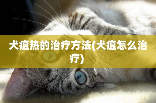 犬瘟熱的治療方法(犬瘟怎么治療) 
