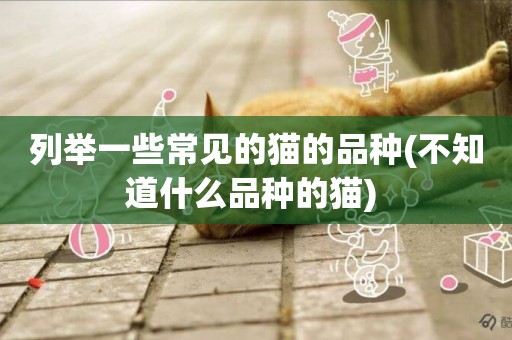 列舉一些常見的貓的品種(不知道什么品種的貓) 