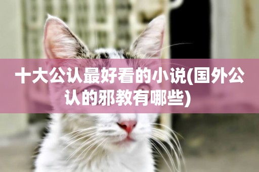 十大公認最好看的小說(國外公認的邪教有哪些) 