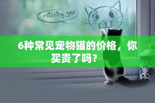 6種常見寵物貓的價格，你買貴了嗎？ 