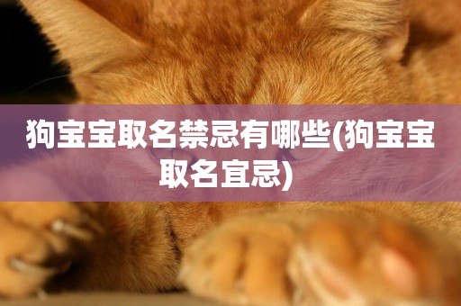狗寶寶取名禁忌有哪些(狗寶寶取名宜忌) 