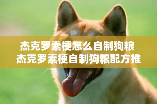 杰克羅素梗怎么自制狗糧 杰克羅素梗自制狗糧配方推薦