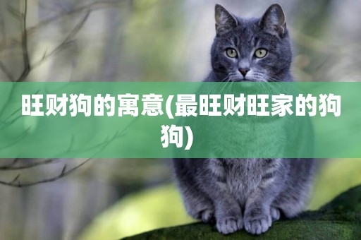 旺財狗的寓意(最旺財旺家的狗狗) 