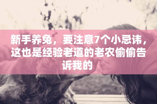 新手養兔，要注意7個小忌諱，這也是經驗老道的老農偷偷告訴我的 