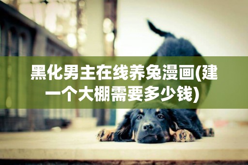黑化男主在線養兔漫畫(建一個大棚需要多少錢) 
