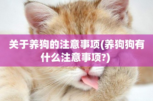 關于養狗的注意事項(養狗狗有什么注意事項?) 