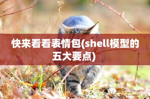 快來看看表情包(shell模型的五大要點) 