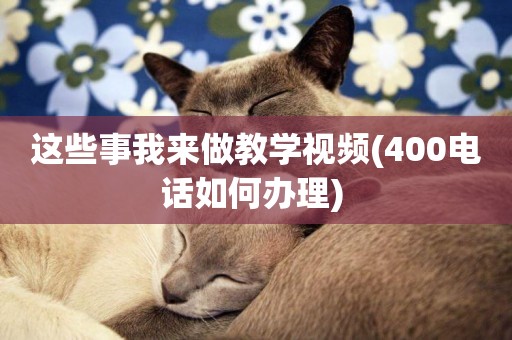 這些事我來做教學視頻(400電話如何辦理) 
