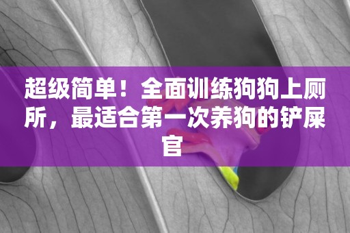 超級簡單！全面訓練狗狗上廁所，最適合第一次養狗的鏟屎官 