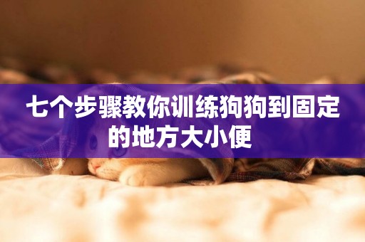 七個步驟教你訓練狗狗到固定的地方大小便 
