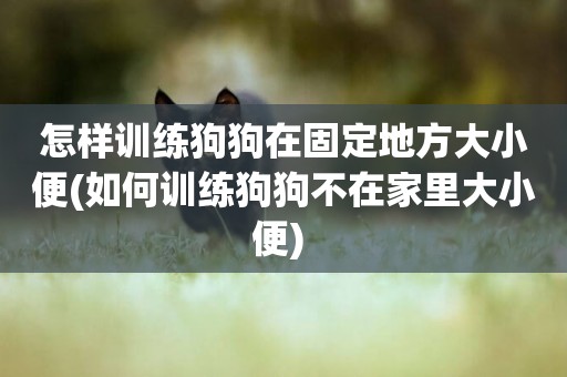 怎樣訓練狗狗在固定地方大小便(如何訓練狗狗不在家里大小便) 