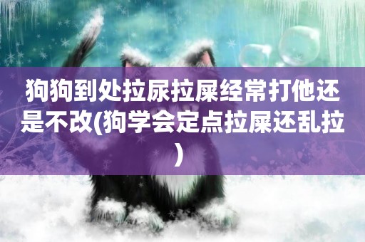狗狗到處拉尿拉屎經常打他還是不改(狗學會定點拉屎還亂拉) 