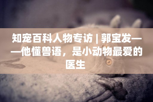 知寵百科人物專訪 | 郭寶發——他懂獸語，是小動物最愛的醫生 
