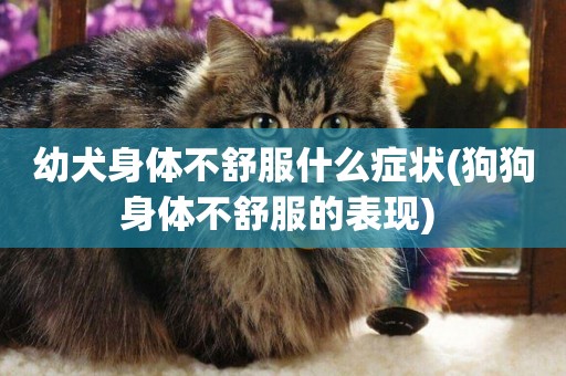 幼犬身體不舒服什么癥狀(狗狗身體不舒服的表現) 