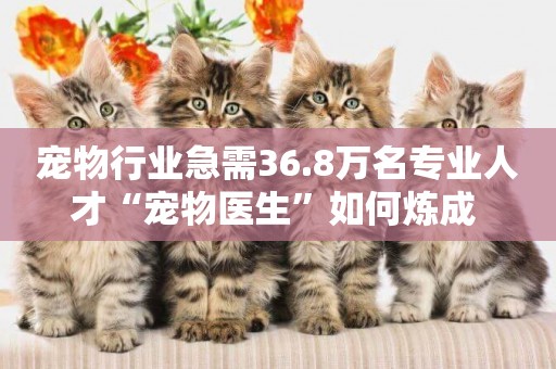 寵物行業急需36.8萬名專業人才“寵物醫生”如何煉成 