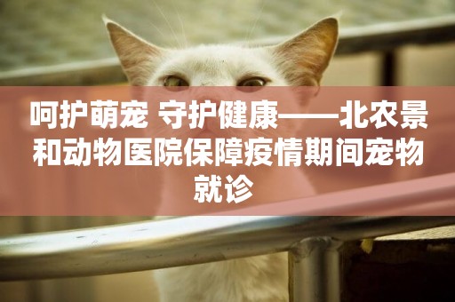 呵護萌寵 守護健康——北農景和動物醫院保障疫情期間寵物就診 
