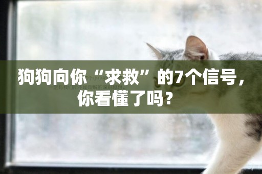 狗狗向你“求救”的7個信號，你看懂了嗎？ 