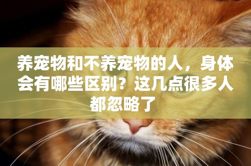養寵物和不養寵物的人，身體會有哪些區別？這幾點很多人都忽略了 