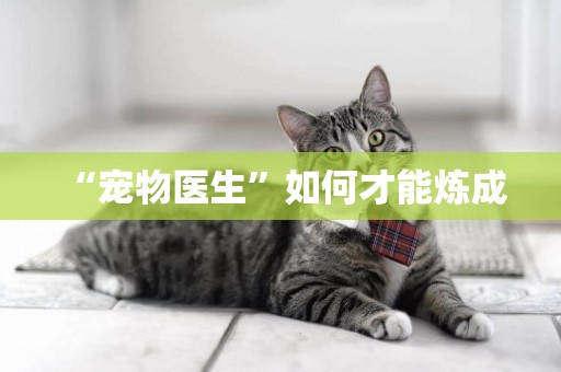 “寵物醫生”如何才能煉成 