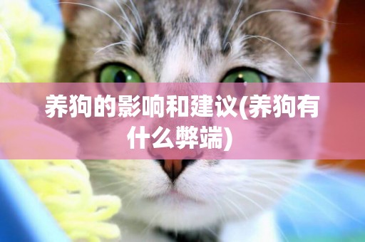 養狗的影響和建議(養狗有什么弊端) 