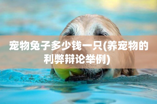 寵物兔子多少錢一只(養寵物的利弊辯論舉例) 