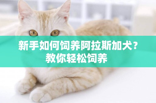 新手如何飼養阿拉斯加犬？教你輕松飼養 