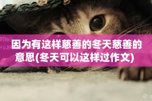 因為有這樣慈善的冬天慈善的意思(冬天可以這樣過作文) 