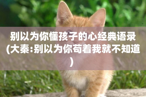 別以為你懂孩子的心經典語錄(大秦:別以為你茍著我就不知道) 