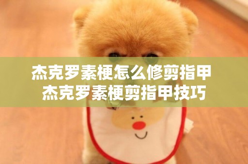 杰克羅素梗怎么修剪指甲 杰克羅素梗剪指甲技巧