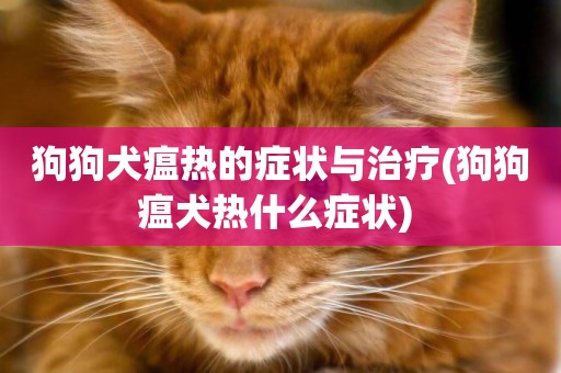 狗狗犬瘟熱的癥狀與治療(狗狗瘟犬熱什么癥狀) 