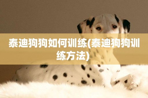 泰迪狗狗如何訓練(泰迪狗狗訓練方法) 