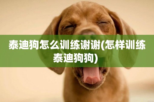 泰迪狗怎么訓練謝謝(怎樣訓練泰迪狗狗) 