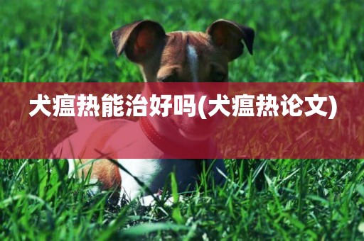 犬瘟熱能治好嗎(犬瘟熱論文) 