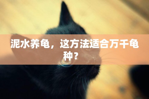 泥水養龜，這方法適合萬千龜種？ 